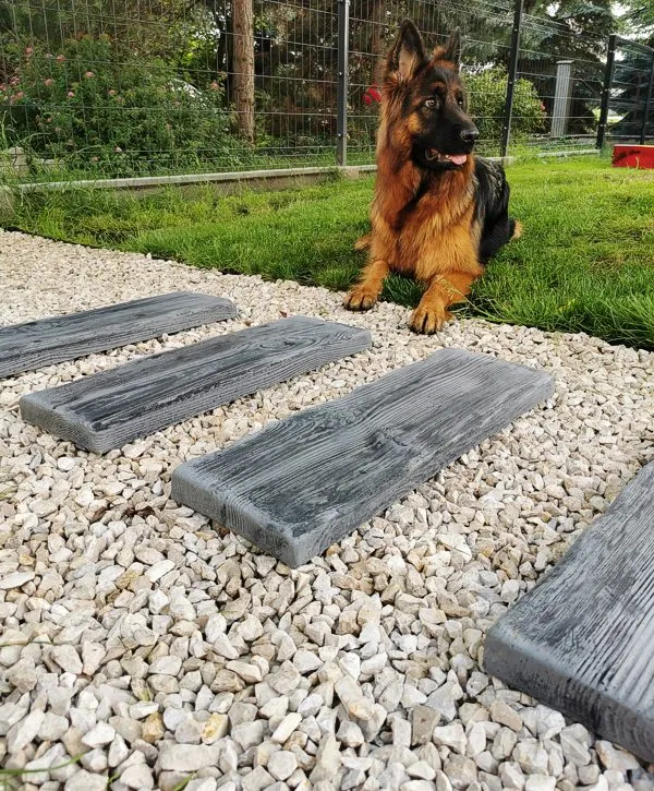 firma kaktus i deska betonowa