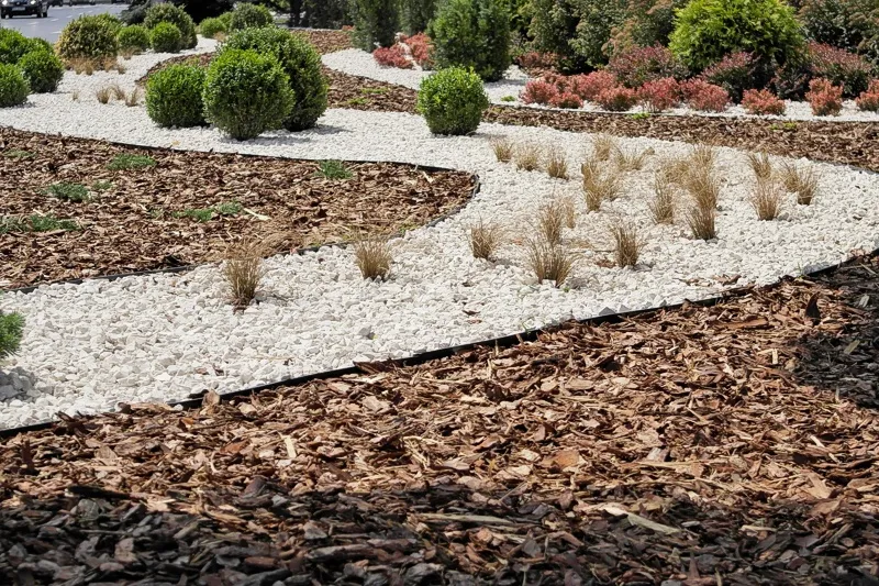 Ogród z białym grysem i korą drzewną