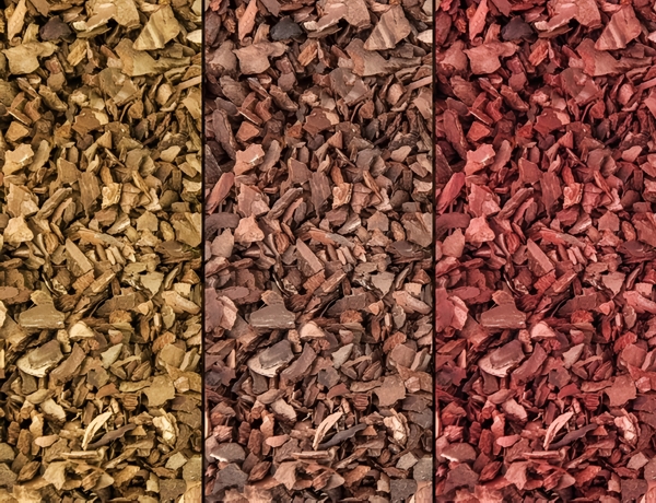 kaktusogrody-kora-sosnowa