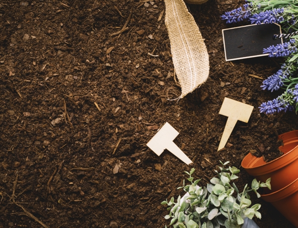 kaktusogrody-ziemia-ogrodowa